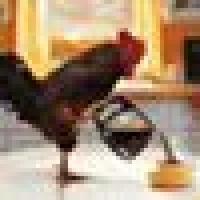 Ingolf B. image