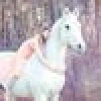 Sandi B. image