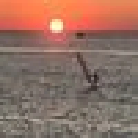 Mario C. image