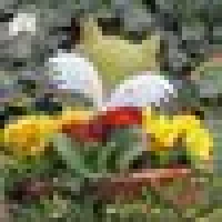 Sascha B. image