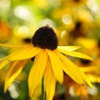 info@gartengestaltung24.eu