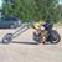 Michael Z.