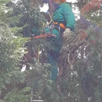 Polo Gartenservice Karlsruhe 