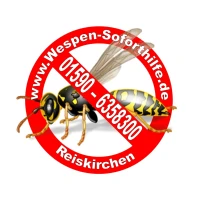 Wespen Soforthilfe