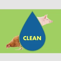 Clean Reinigungsservice&Verladun