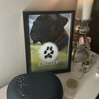 Tierbestattung Nordlicht