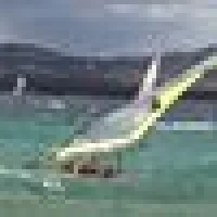Willi S. image