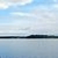 Bar T.