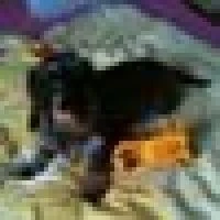 Jette P. image