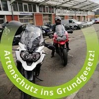 Andreas F. image