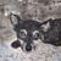 Monika D. image