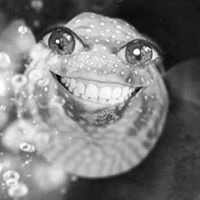 Anni R. image