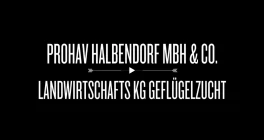 PROHAV Halbendorf mbH & Co. Landwirtschafts KG Geflügelzucht Groß Düben