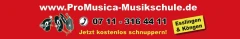 Logo Allgemeine Musikschule Pro Musica Löffler