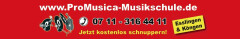 Logo ProMusica Musikschule