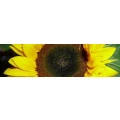 Logo Propst-Seyberer-Schule