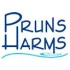 Logo Pruns & Harms GmbH Sanitär Heizung