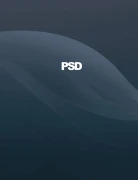 Logo PSD Group GmbH