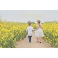 Fotografin f&uuml;r Schwangerschaft - Newborn - Baby - Kind - Familie