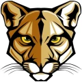 Logo PUMA Coaching Volker Schmidt