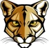Logo PUMA Coaching Volker Schmidt