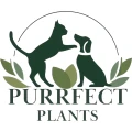 Purrfect Plants Patrick V&ouml;ller Kerpen