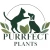 Logo Purrfect Plants Patrick Völler