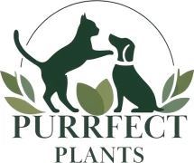 Purrfect Plants Patrick V&ouml;ller Kerpen