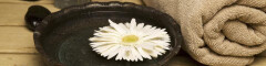 Logo Pusadee Tai-Massage Kongbungkla-Duwe