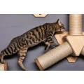 Das perfekte Abenteuer: die Cat Wall von Pussicat