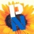 Logo Putzreinigung-Nord