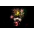 Logo Pyromonster.de - die Feuerwerkprofis