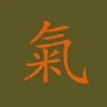 Logo QI55 oHG