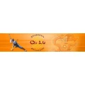 Logo QiLu Shaolin Zentrum Cornelia Wagner