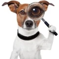 Logo Quantis Consulting GmbH Gerwin Schausberger