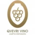 Logo QVEVRI VINO