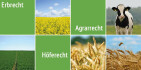 Logo RA Björn-Thorben Knoll, LL.M. Anwaltsbüro