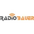 Radio Bauer Einzelunternehmen Stockstadt
