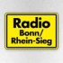 Logo Radio Bonn/Rhein-Sieg Driveline für Staus und Flitzer-Blitzer
