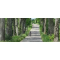 Logo Radwandern in Masuren