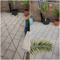 RAG Dienstleistungen f&uuml;r Haus & Garten W&ouml;lferlingen