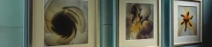 Logo Rahmen- u. Bild Galerie Einsiedlerhof