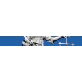 Logo Gerstner, Ralf