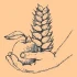 Logo Ralf P. Schaab Hof Erbenheim Bauernladen