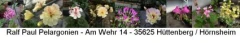 Ralf Paul Pelargonien H&uuml;ttenberg