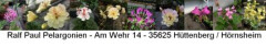 Logo Ralf Paul Pelargonien