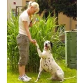 Logo Ramona von Keitz Hundeschule Wolfsblut
