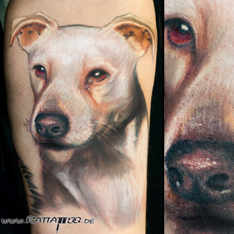tattoo freiburg tattoostudio piercing tattoobilder tattoogalerie Foto