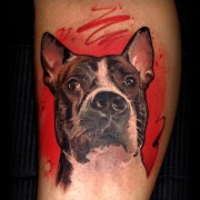 realistisches Hundeportrait Farbtattoo aus dem Rattattoo Tattoostudio in Freiburg