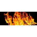 Logo RBS Rudis Brandschutz Service
